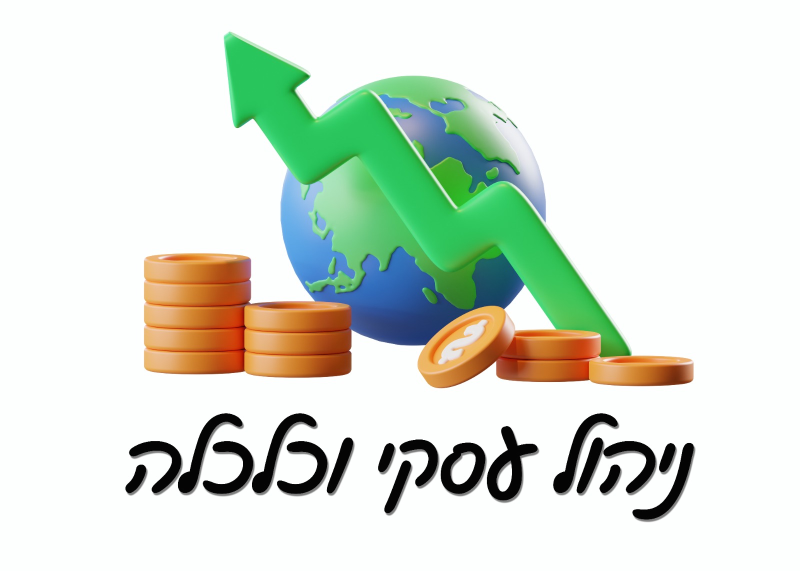 מסלול עיוני - ניהול עסקי וכלכלה