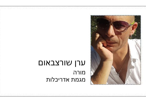 ערן שוורצבאום