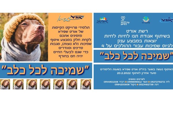 שמיכה לכל כלב